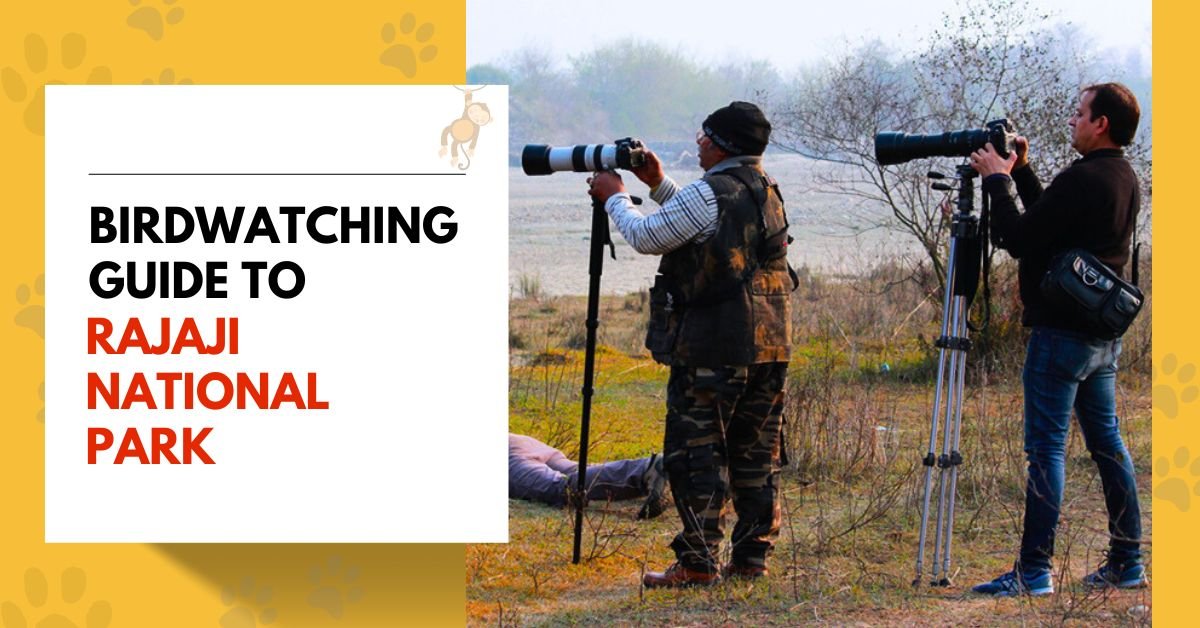Birdwatching Guide to Rajaji National Park