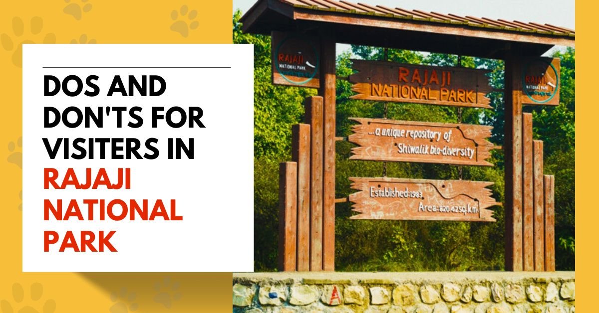 Dos and Don'ts for Responsible Wildlife Viewing in Rajaji National Park