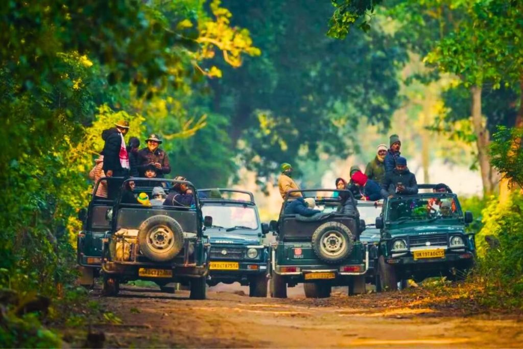 Dos in Rajaji National Park