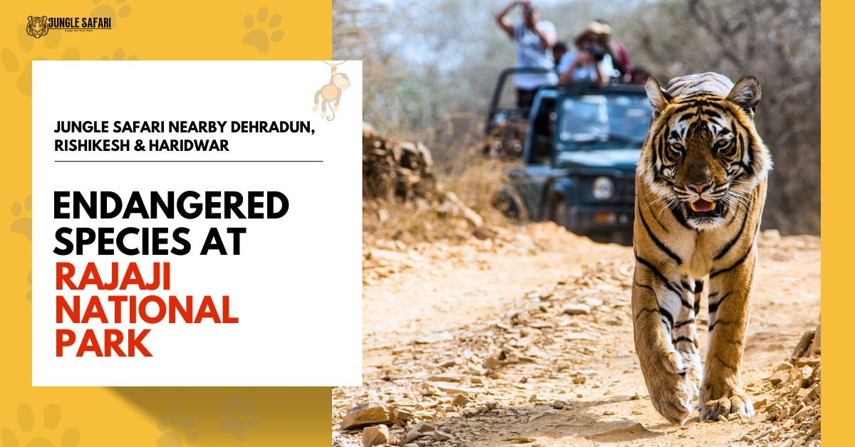 Endangered Species at Rajaji National Park