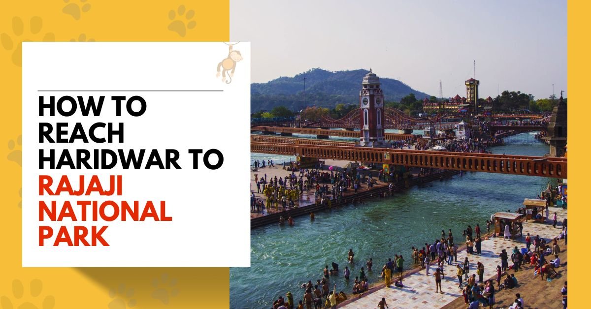 How to reach Haridwar to Rajaji National Park