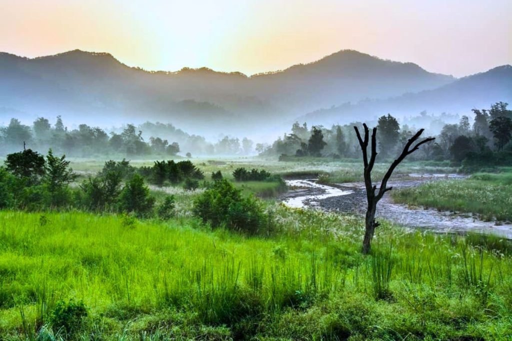 Monsoon Magic of Rajaji National Park