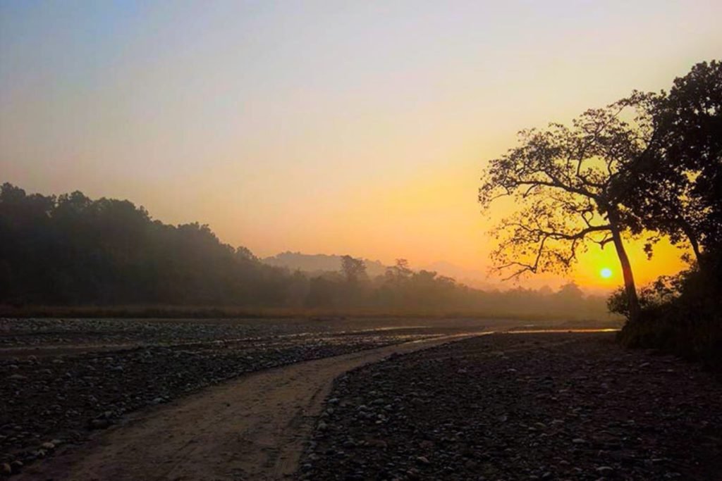 trails view at dusk in Rajaji National Park