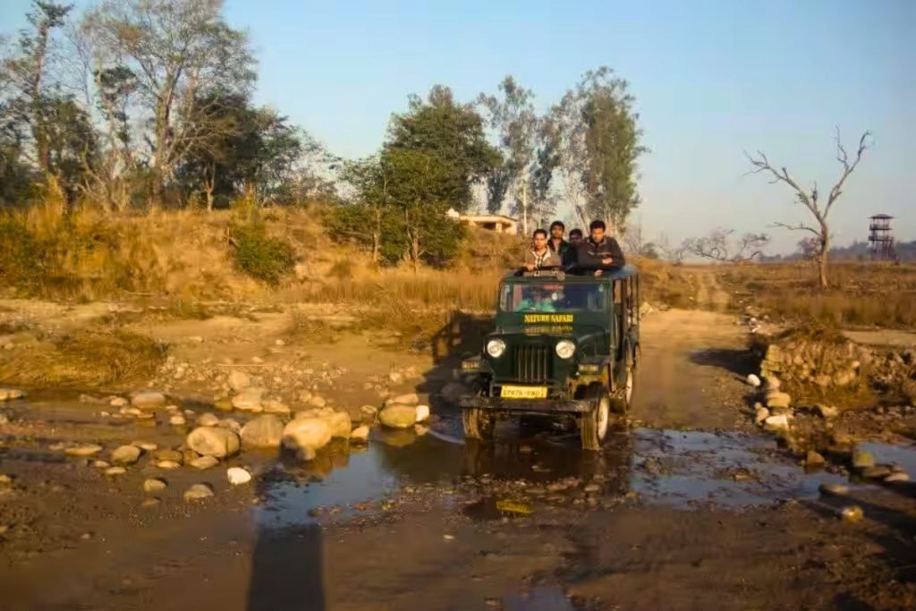 Pebble Jeep Safari in Rajaji National Park