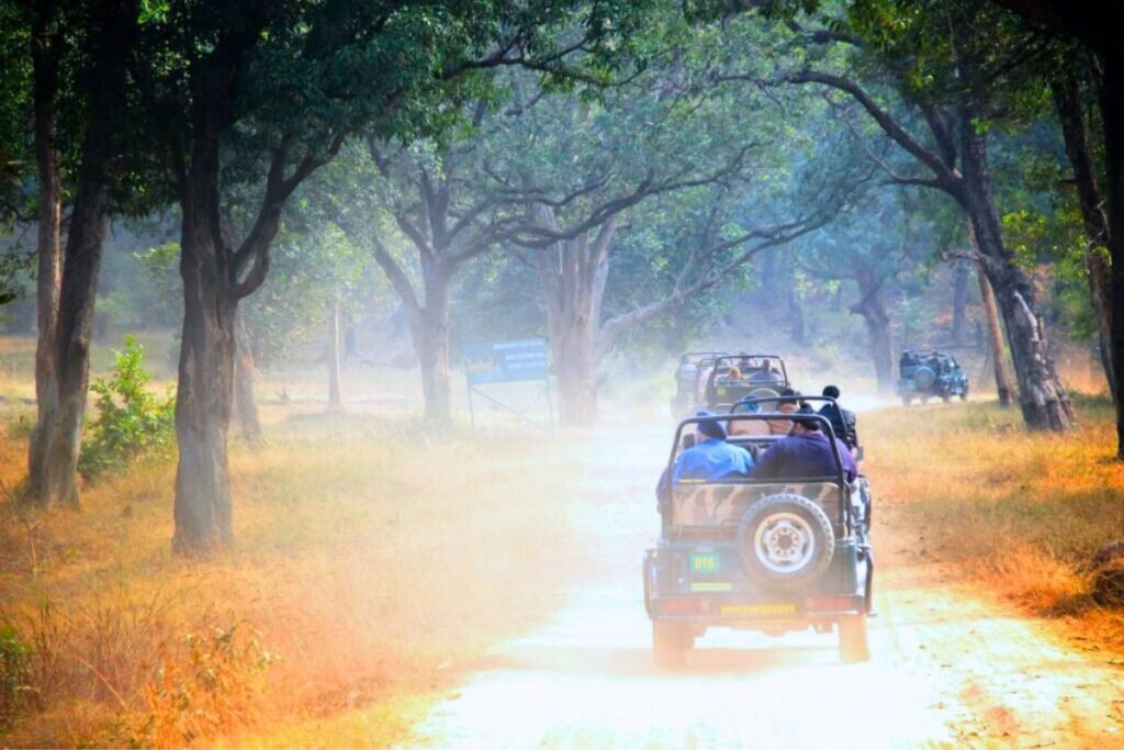 Jeep Safari in Rajaji National Park