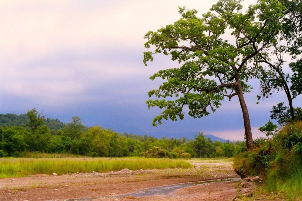 Monsoon Season in Rajaji National Park