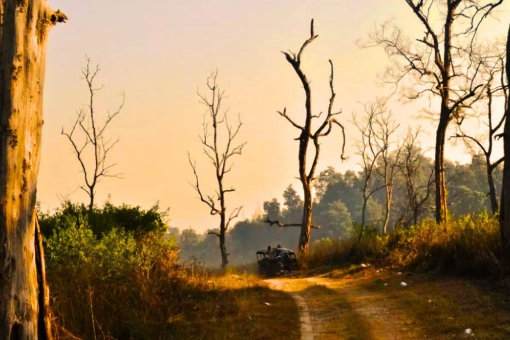 Summer Season in Rajaji National Park