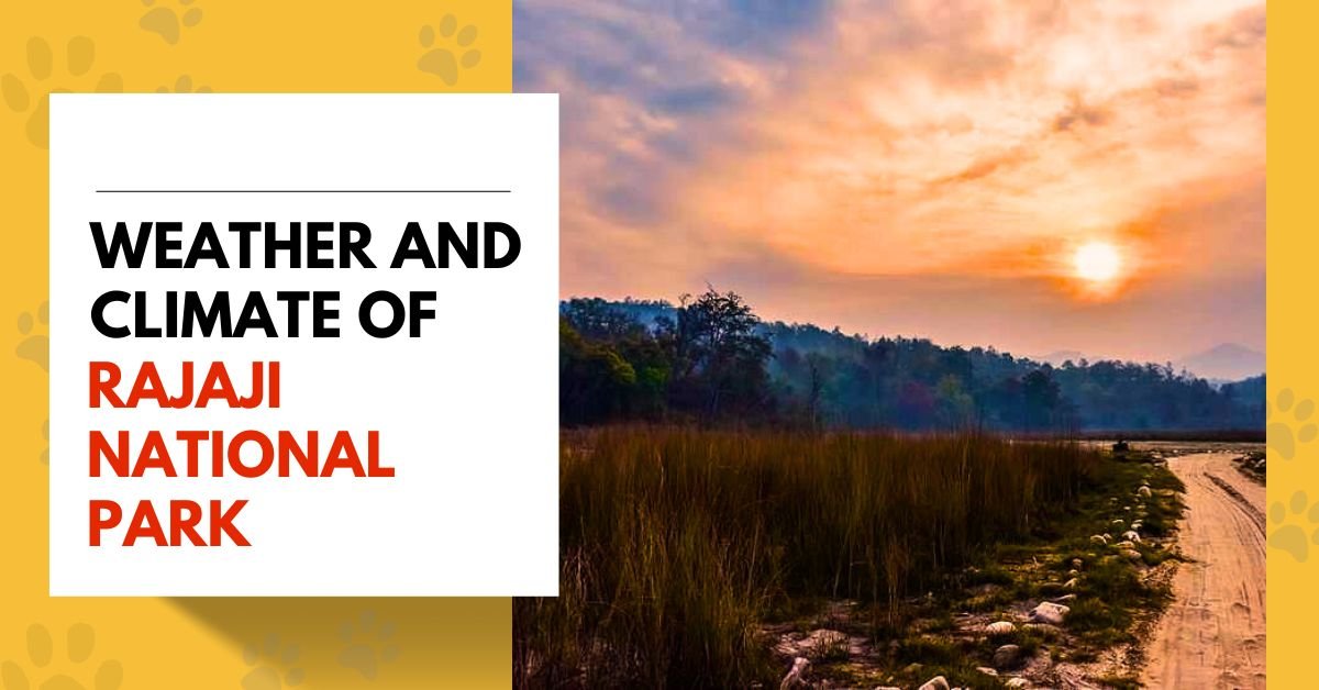 Weather and Climate of Rajaji National Park