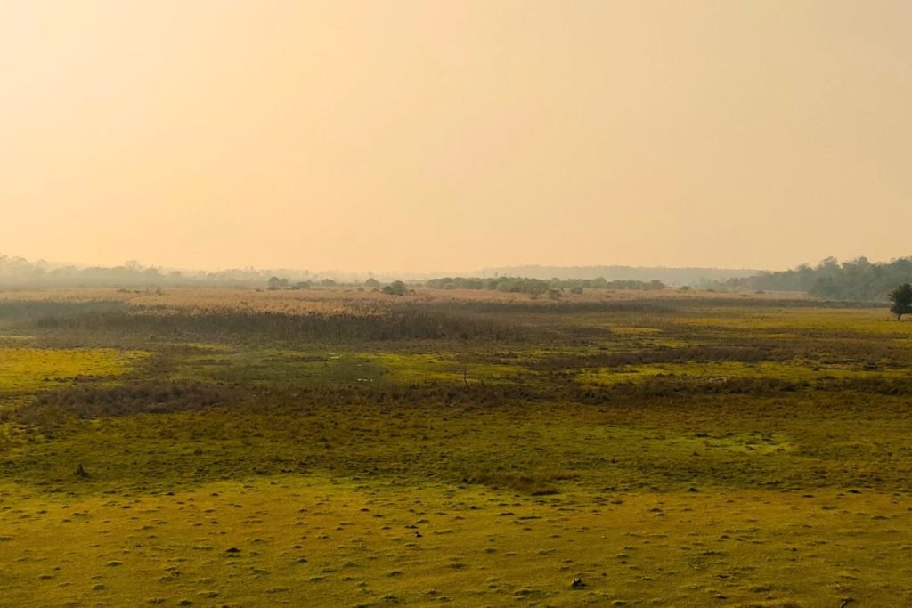 Wetland Jhilmil Jheel Conservation Reserve