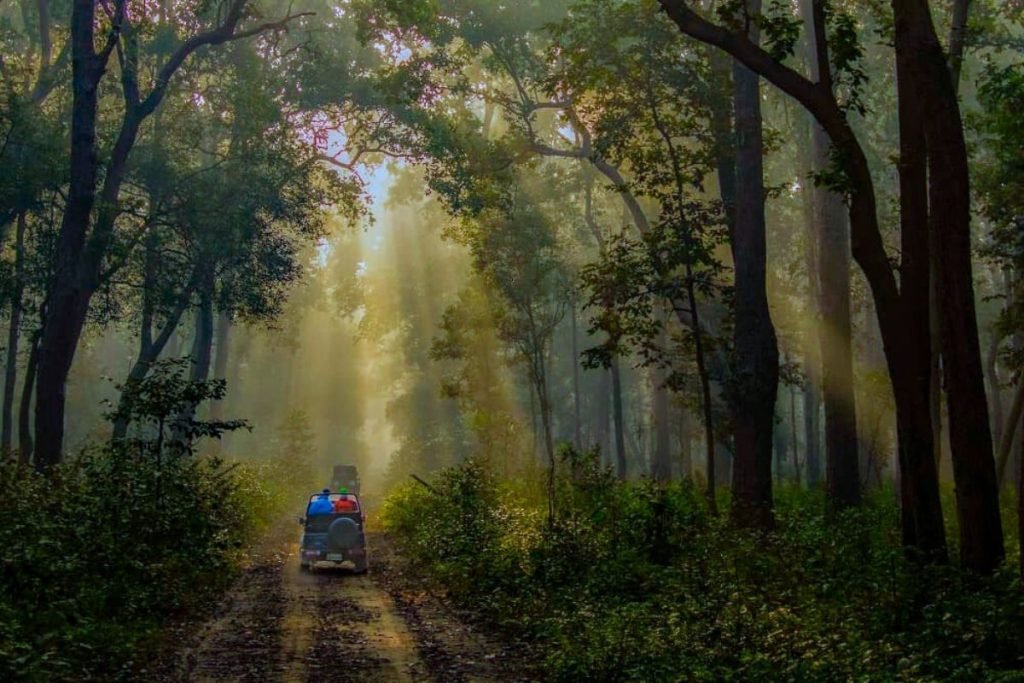 Winter season in Rajaji National Park
