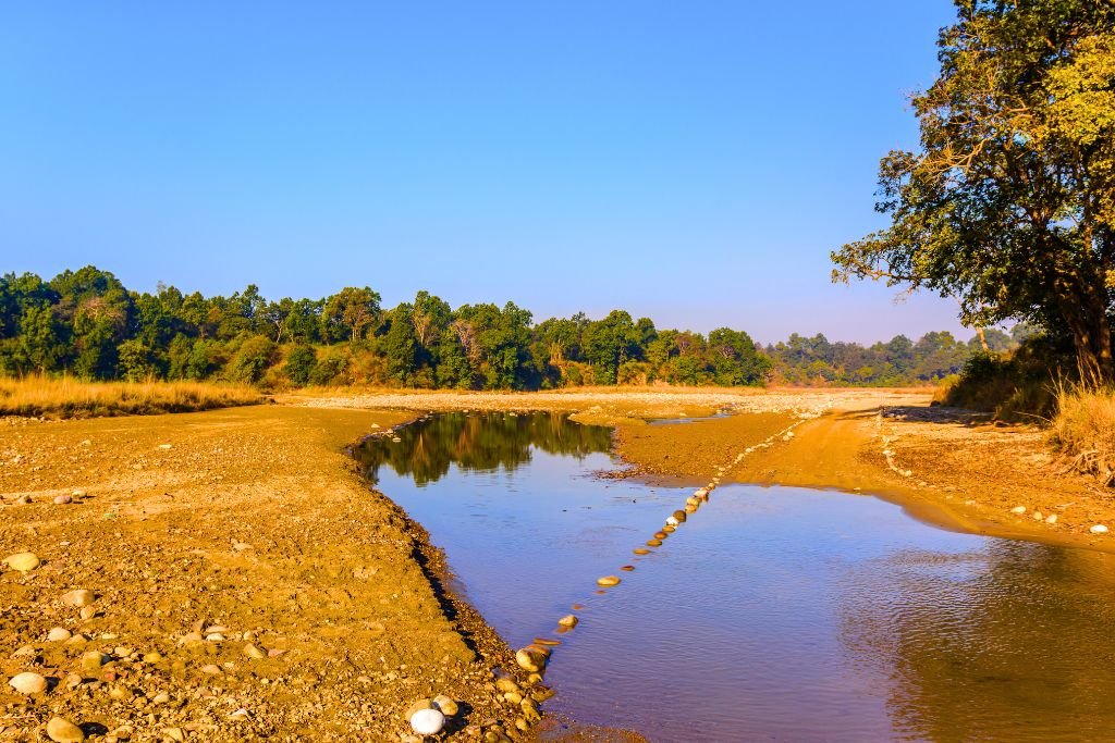 Why is Rajaji's Ecosystem Important?