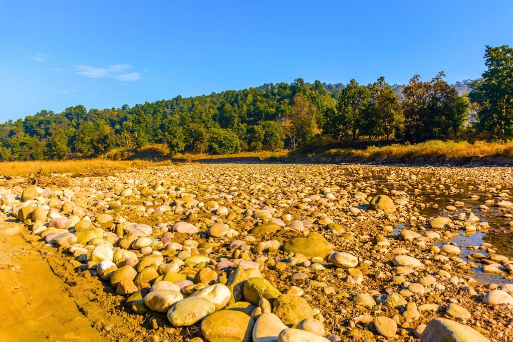 Fun Facts about the Rajaji Ecosystem: