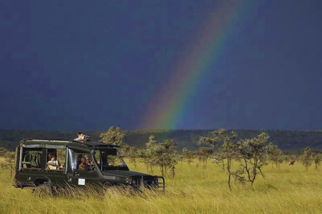 Rainy Season Safari