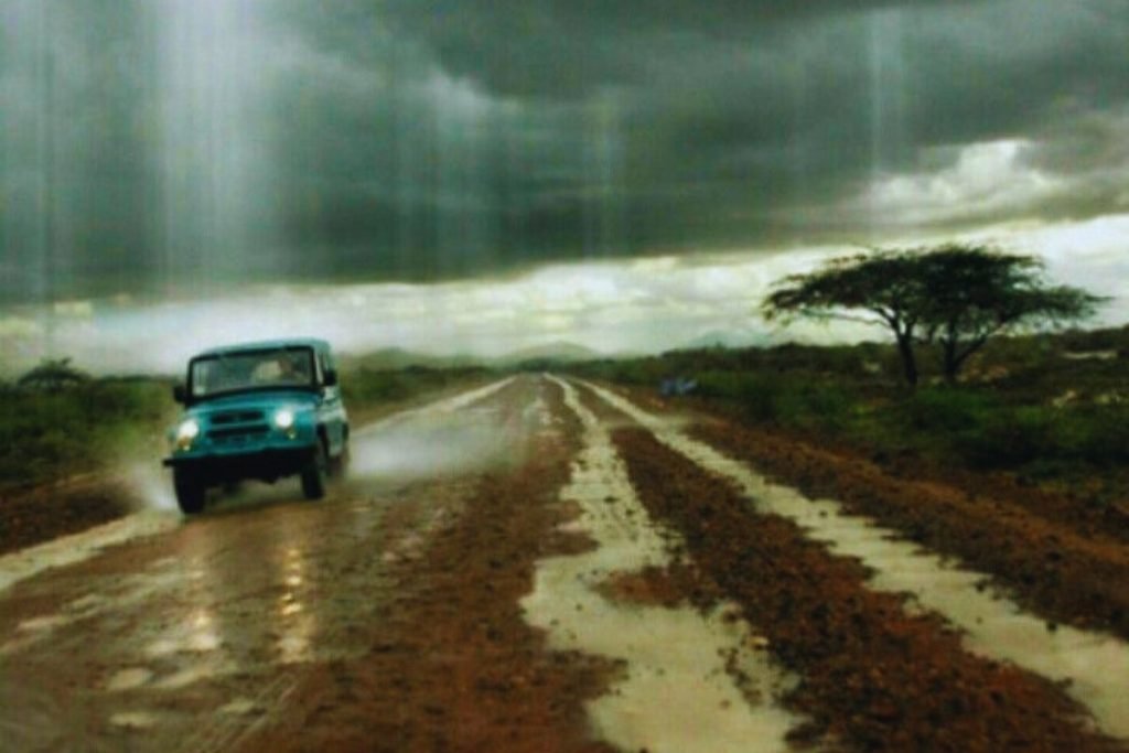 Rainy Season Safari