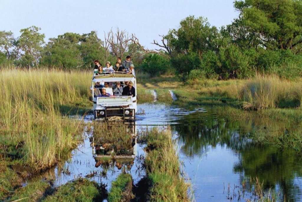 Rainy Season Safari