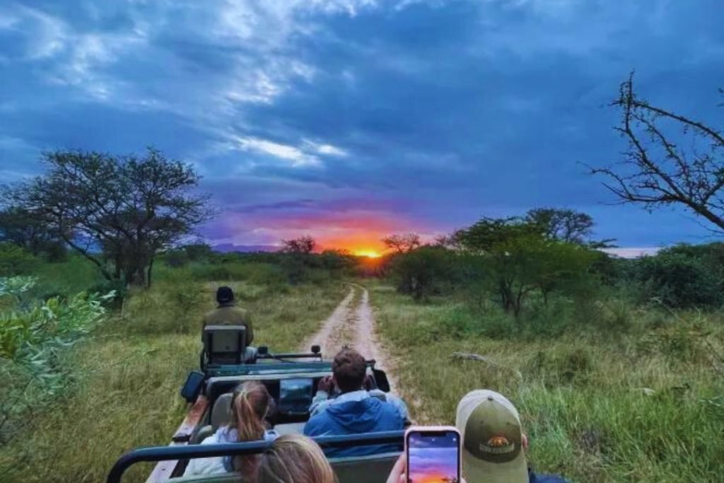 Rainy Season Safari