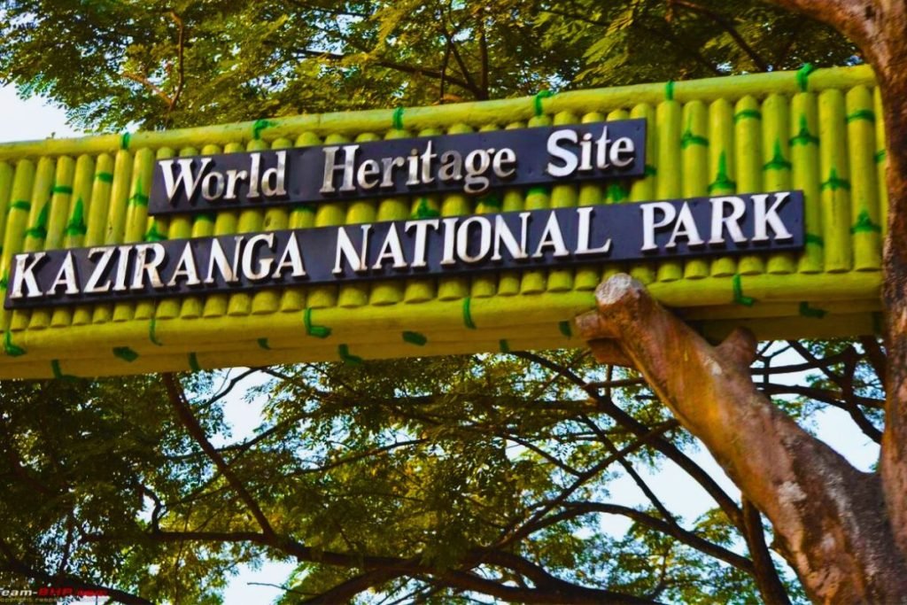 Kaziranga National Park