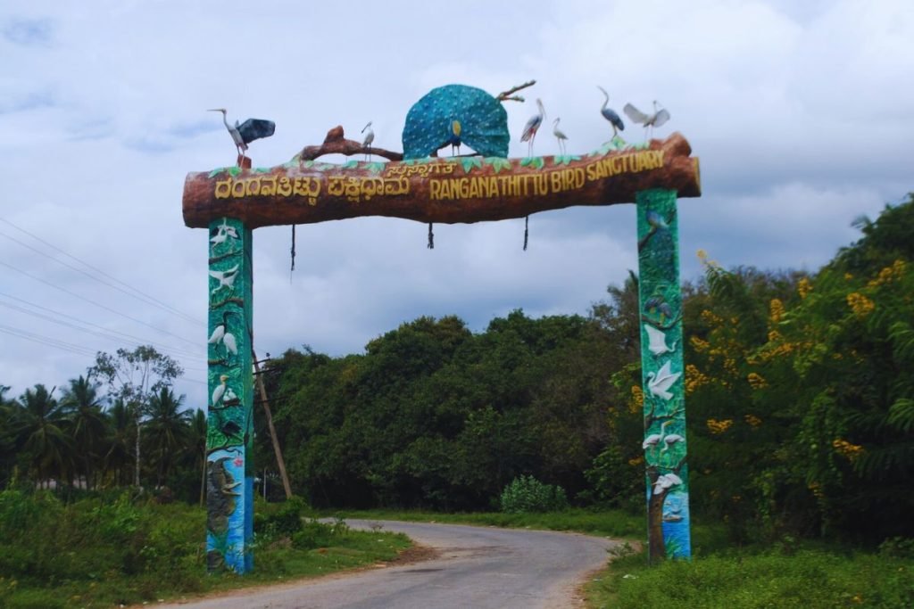 Ranganathittu Bird Sanctuary, Karnataka