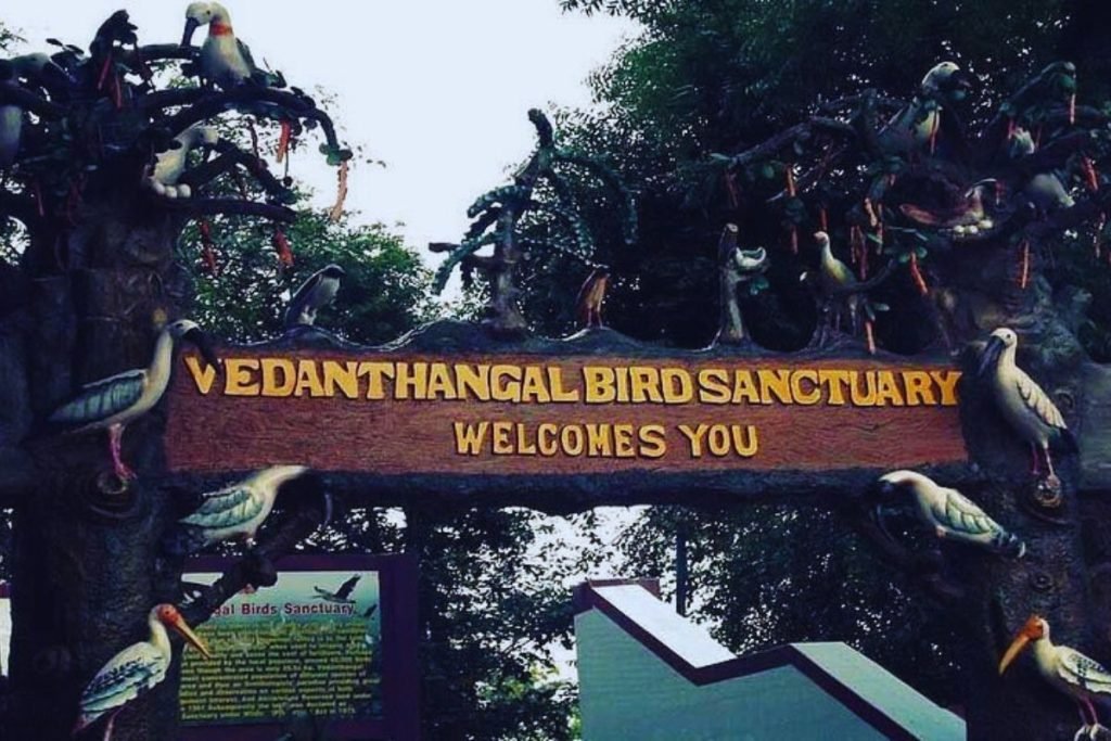 Vedanthangal Bird Sanctuary