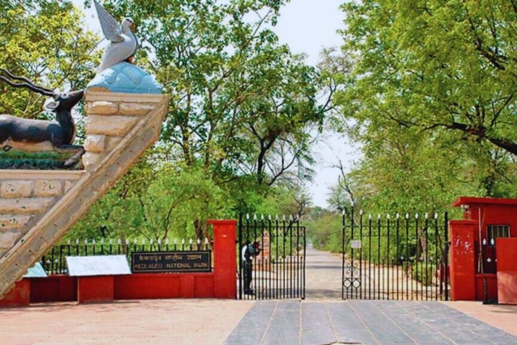Keoladeo National Park, Rajasthan