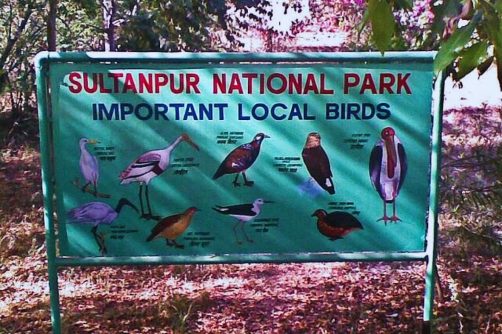 Sultanpur National Park
