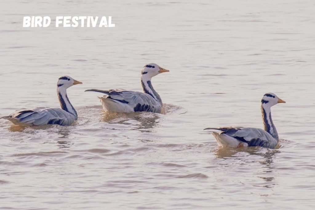 Uttarakhand Bird Festival