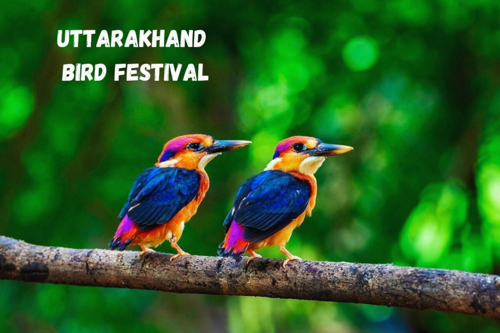 Uttarakhand Bird Festival