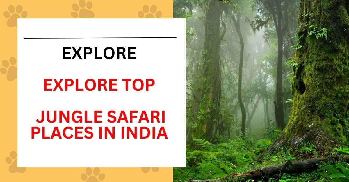 jungle safari places in india​
