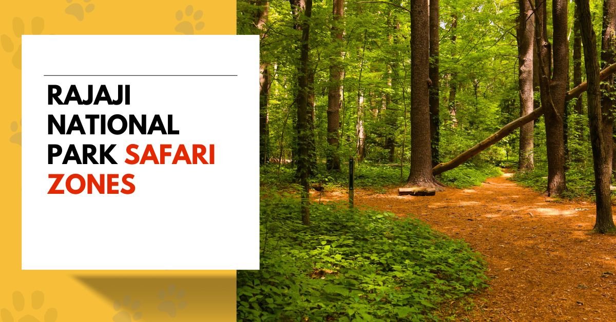 Top 6 Safari zones In Rajaji You Must Explore