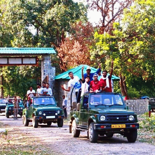 Jeep Safari in rajaji national park
